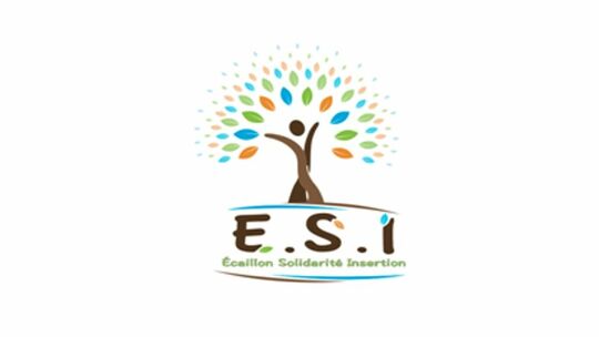 Visuel du logo ESI